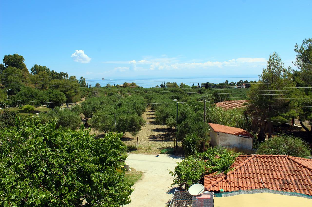 Zante Yliessa Daire Vasilikí Dış mekan fotoğraf