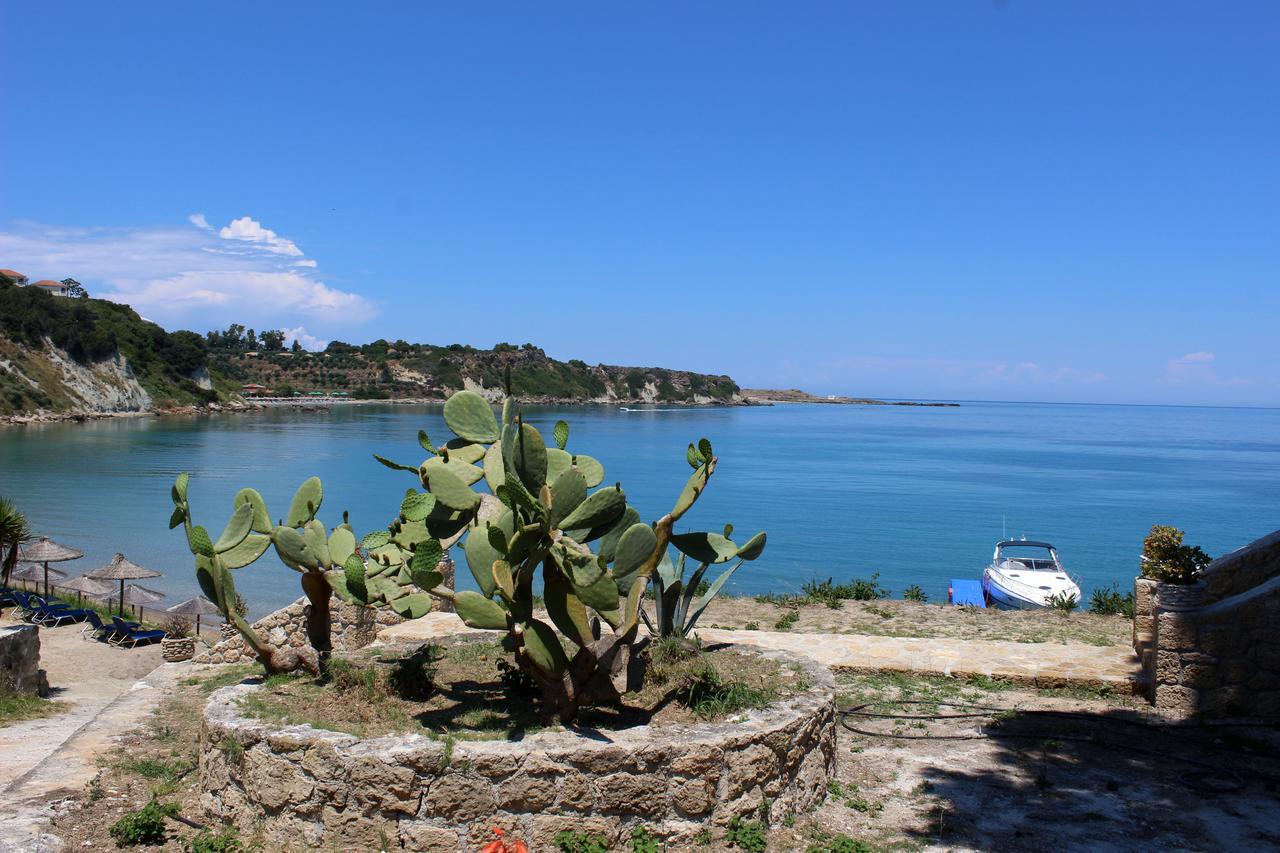 Zante Yliessa Daire Vasilikí Dış mekan fotoğraf